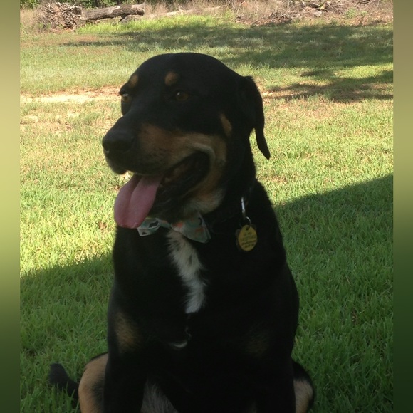 LIKE THIS FLYER TO GET NOTIFIED OF MY FUTURE LIVE SHARE SHOWS!! - Picture 3 of 8